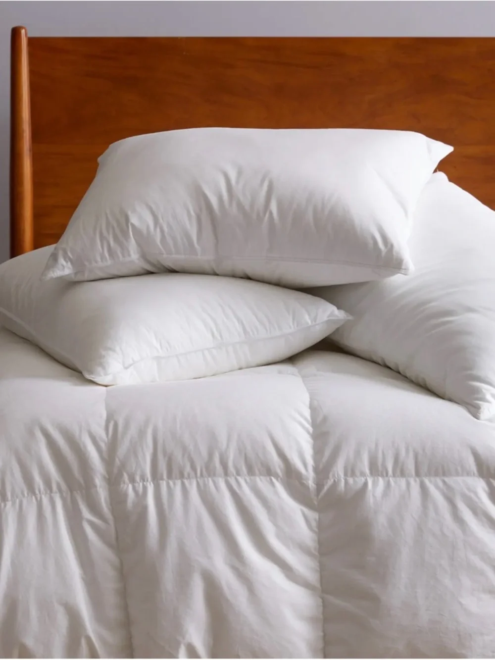 Full/Queen Luxe European Goose Down Comforter - All Season Retail $284